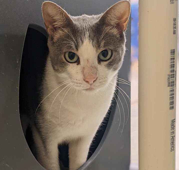 Photo of Buffy