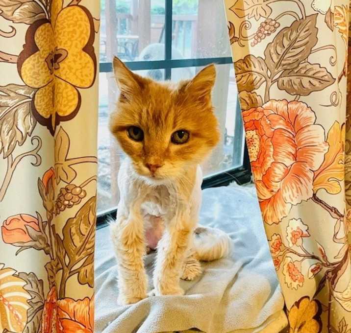 Photo of Nana