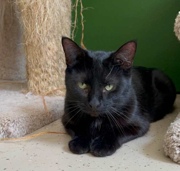 Photo of ELAIN