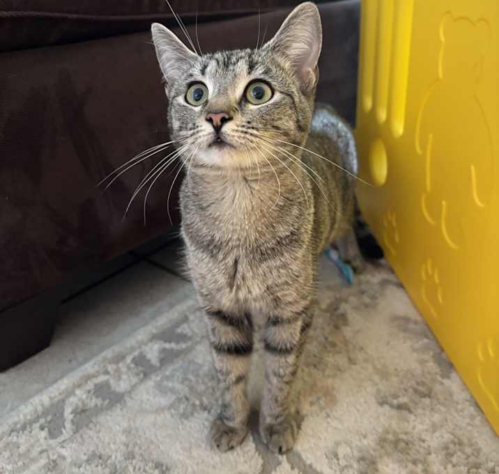 Photo of Bingo