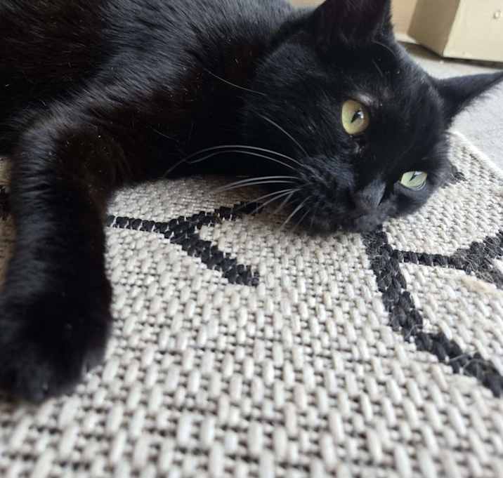 Photo of Cheery Littlebottom