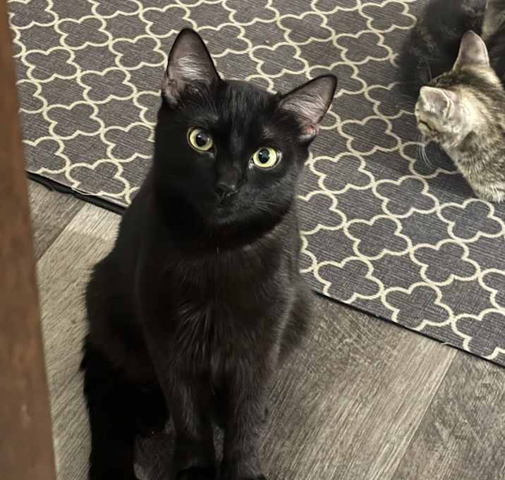 Photo of Lily