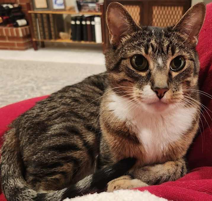Photo of Charlie