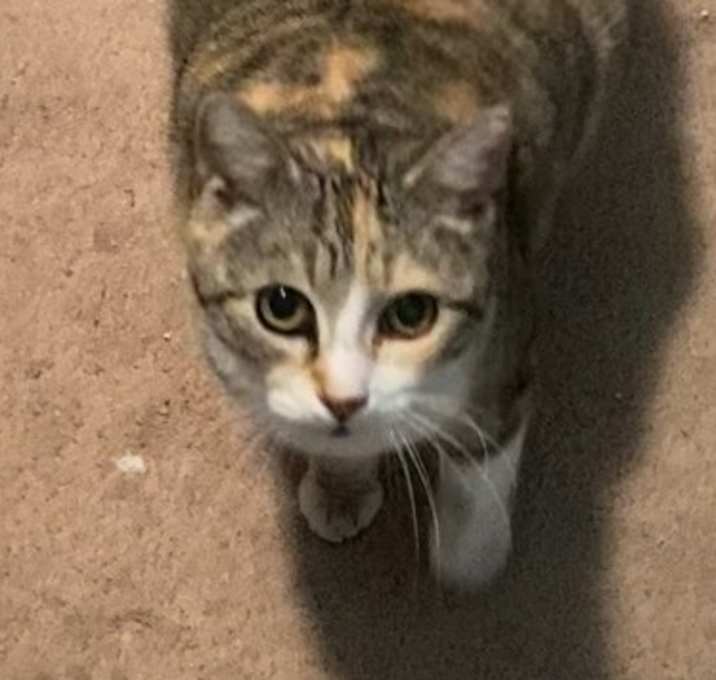 Photo of Maeve DM