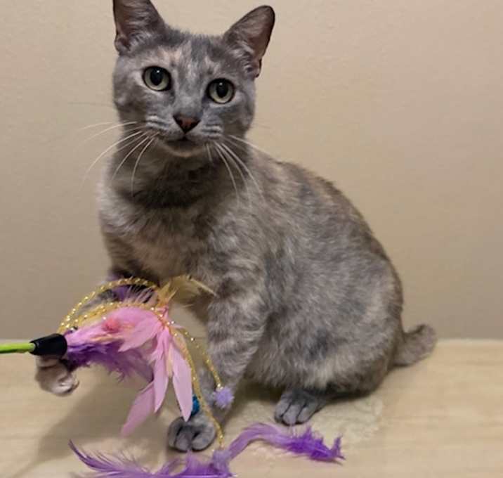 Photo of Belle (mom) DHH