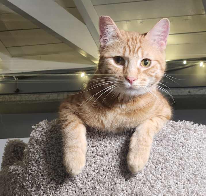 Photo of Titus