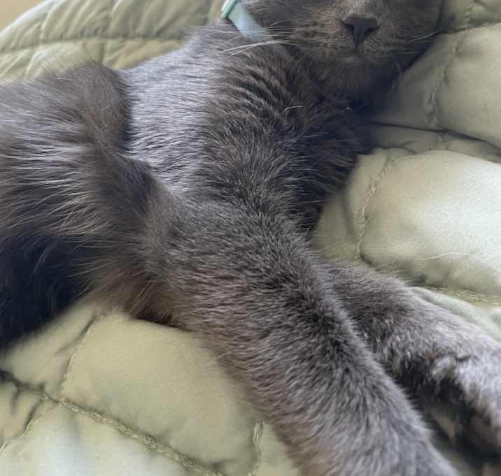 Photo of Mia