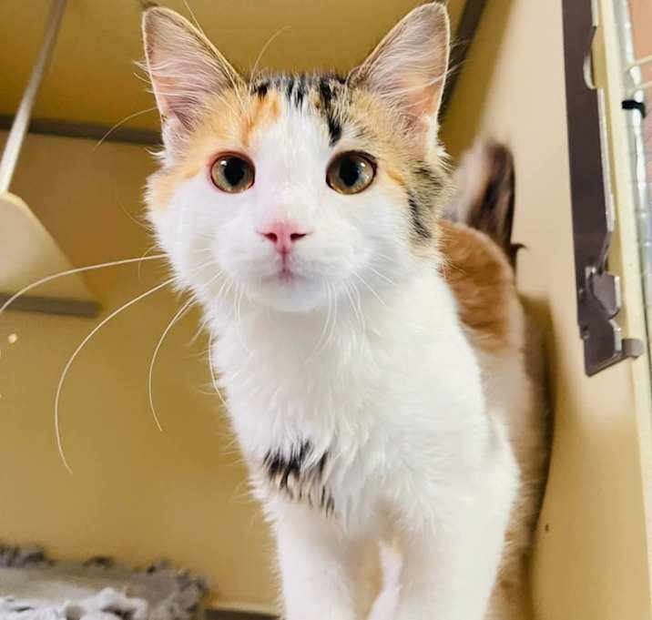 Photo of Mia