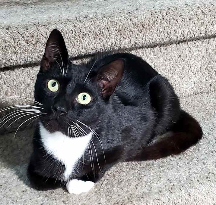 Photo of Toes