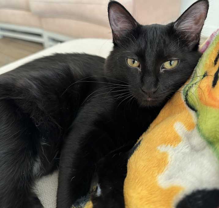 Photo of Mitzi