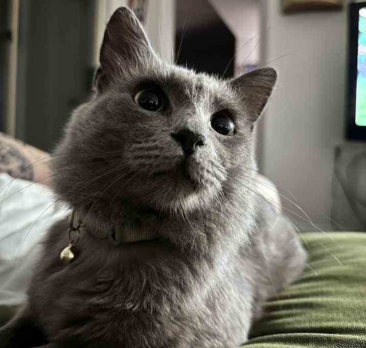 Photo of Max