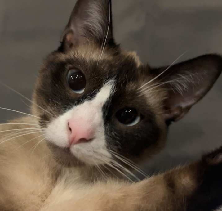 Photo of Tsuki