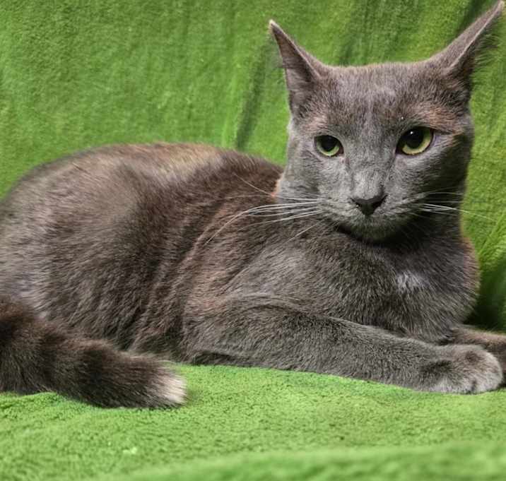 Photo of Tigger