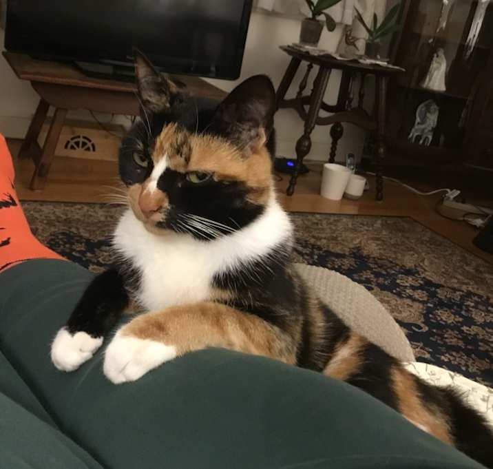 Photo of Clara