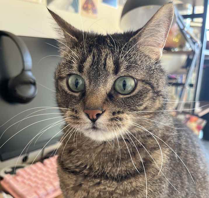 Photo of Mu-Mu