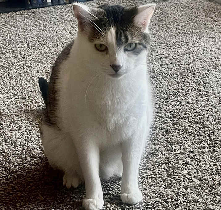 Photo of Harley