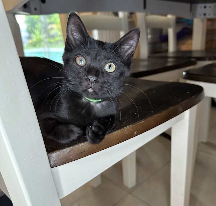 Photo of Ziggy