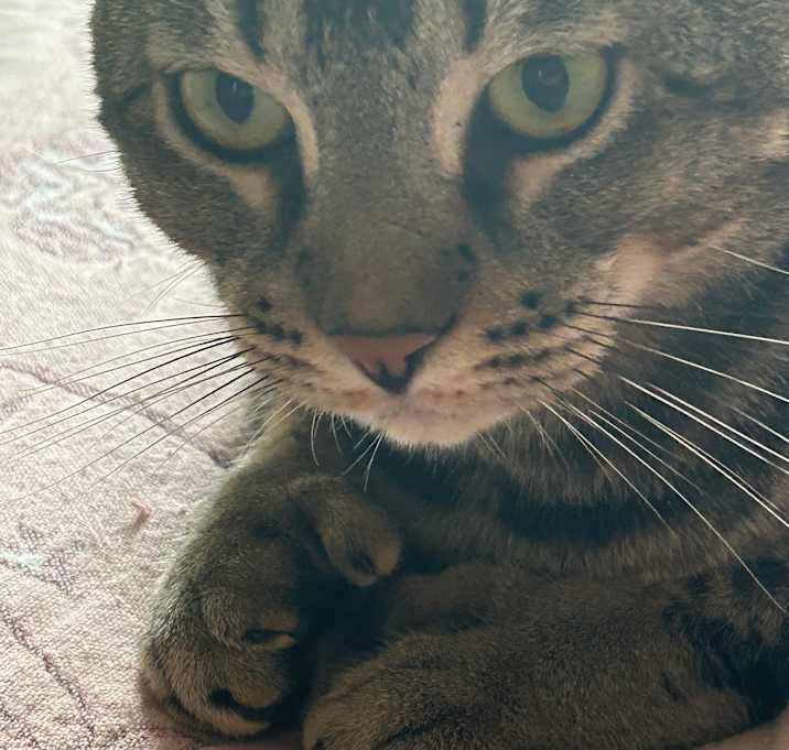 Photo of MiuMiu