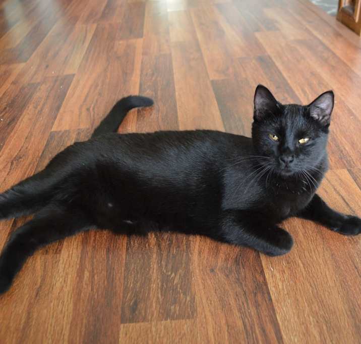 Photo of Vanta