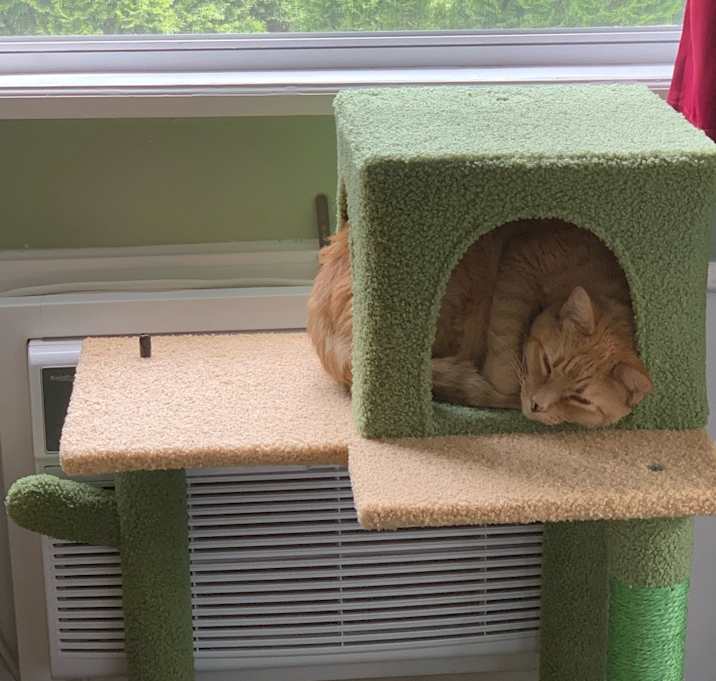 Photo of Butters