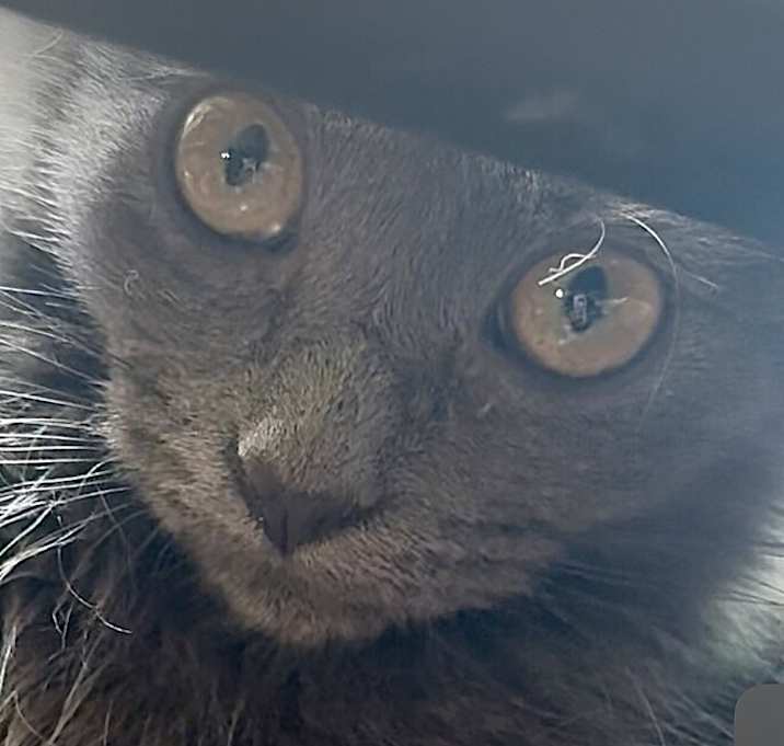Photo of Timmy