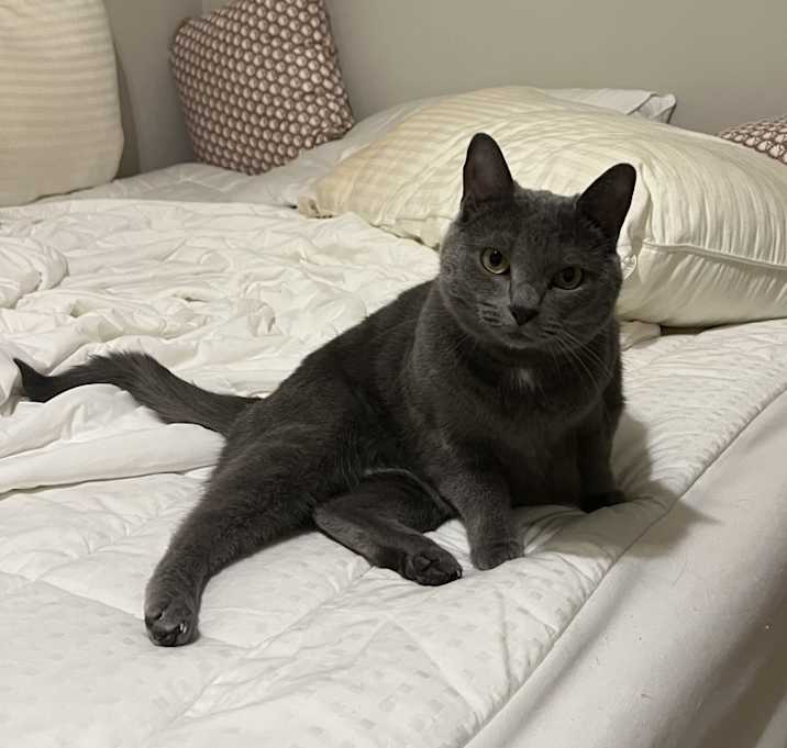 Photo of Molly