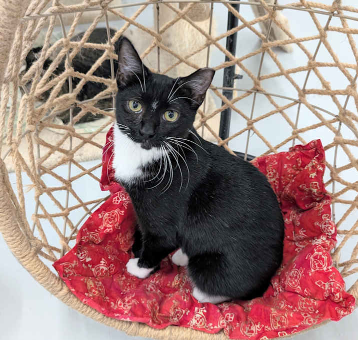 Photo of Eve