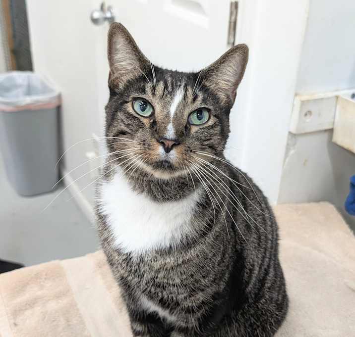 Photo of Zeus