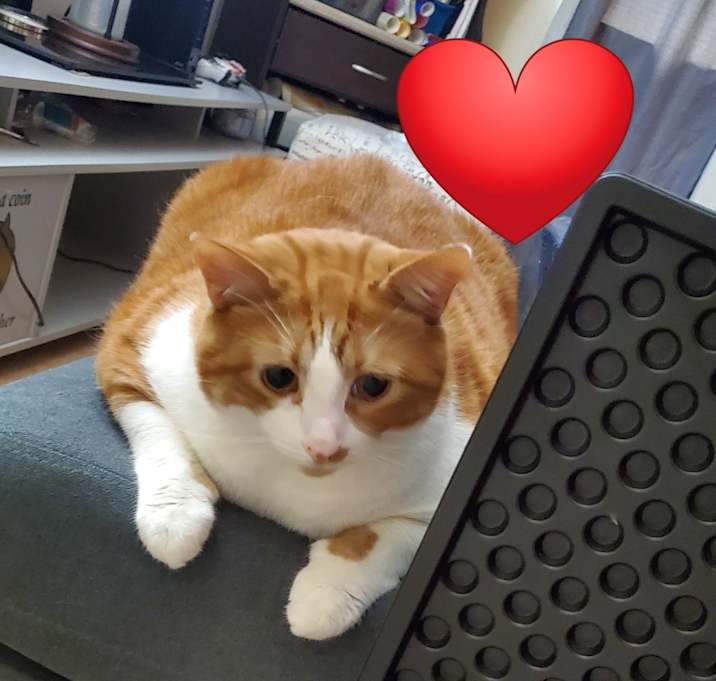 Photo of Duke