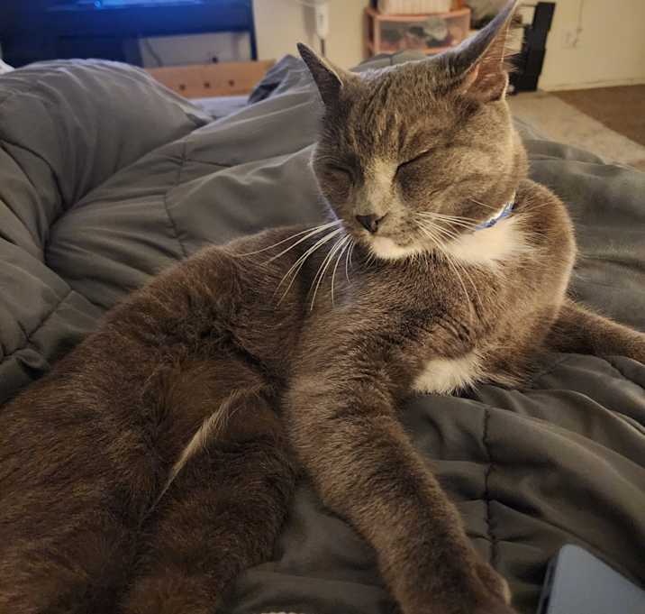 Photo of Kenji