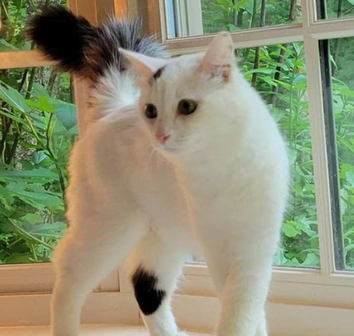 Photo of Winnie