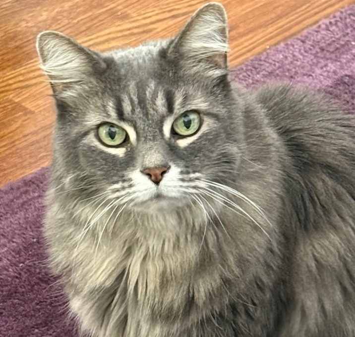 Photo of Emmie