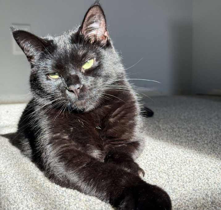 Photo of Milo