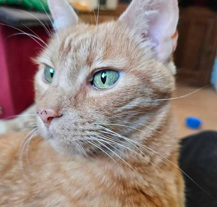 Photo of Leroy