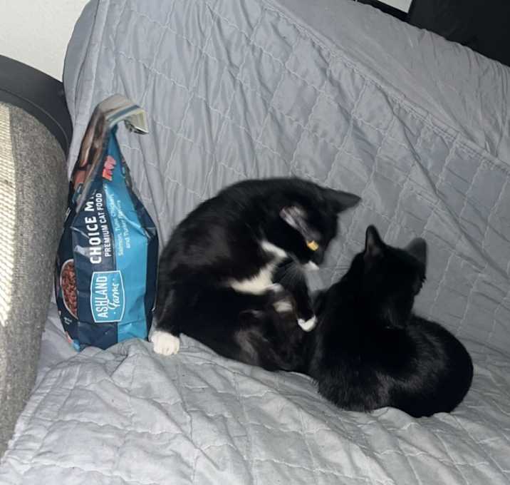 Photo of Saiya and Baela