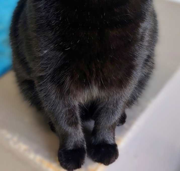 Photo of Cedric