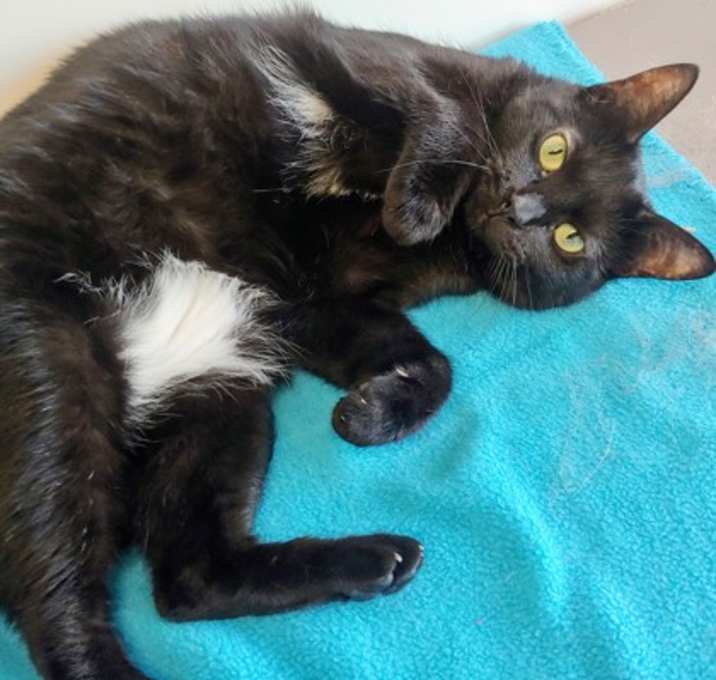 Photo of Tequila