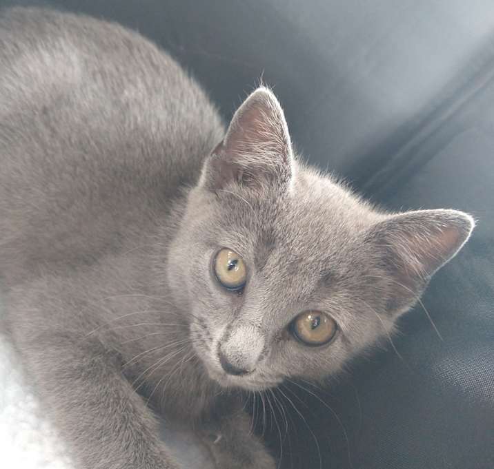 Photo of Eleanor