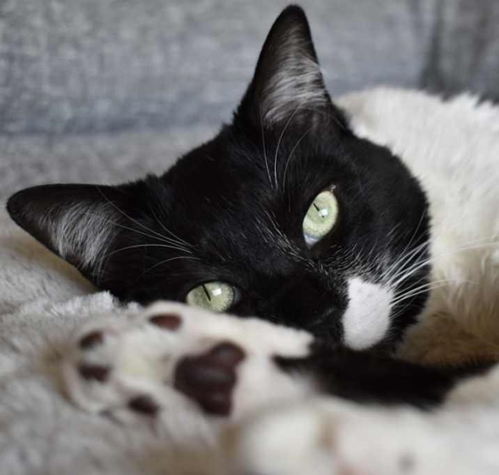 Photo of Tom