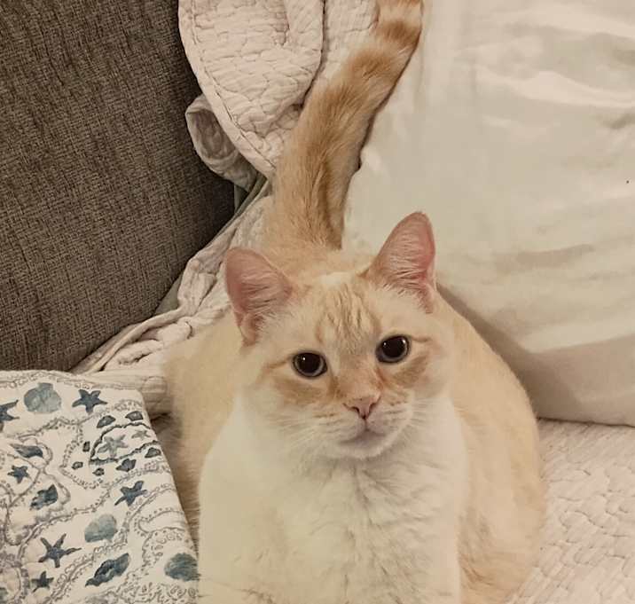 Photo of Rowan