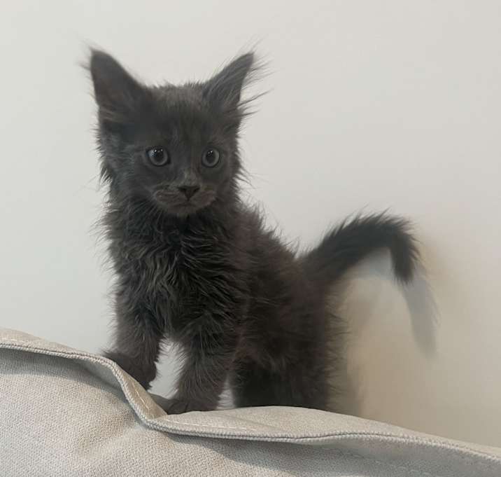 Photo of Storm