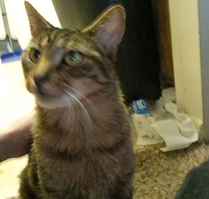 Photo of Neville