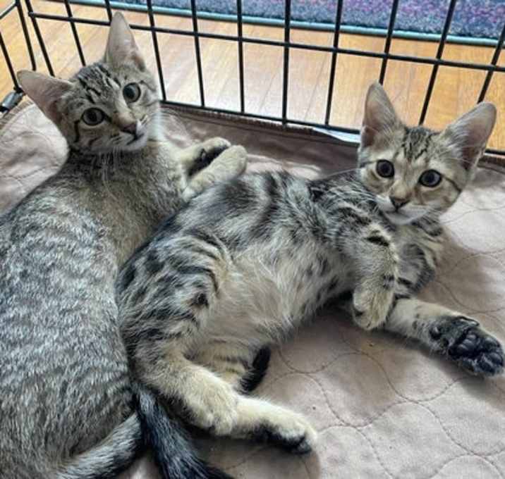 Photo of Frankie and Sawyer