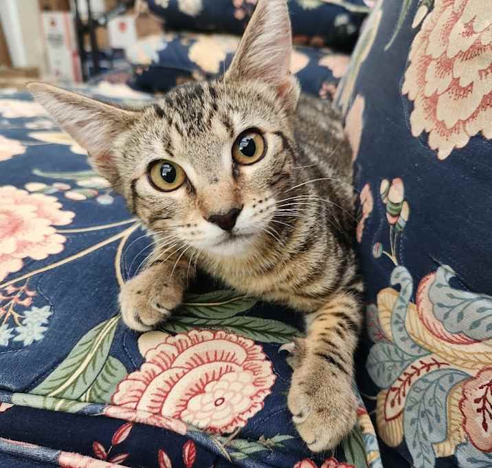 Photo of Sigmund
