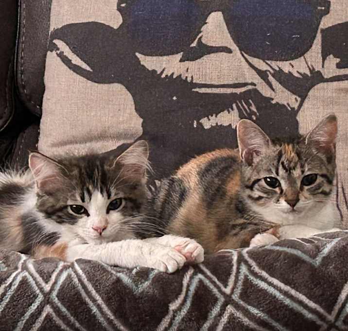 Photo of Freya