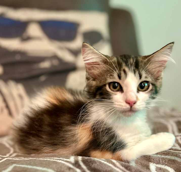 Photo of Freya