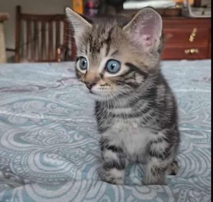 Photo of Tom