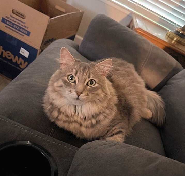 Photo of Ash