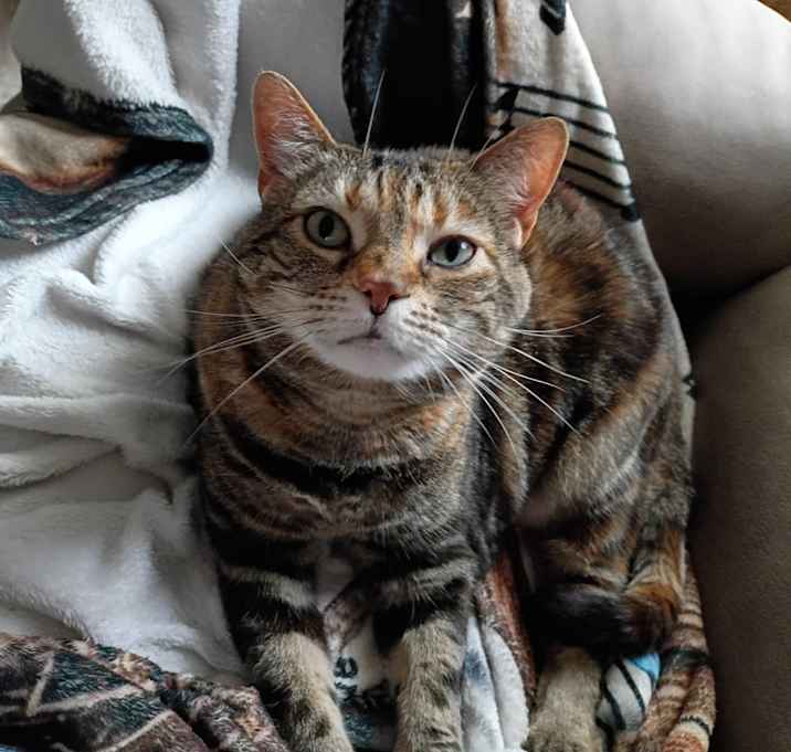 Photo of Maggie