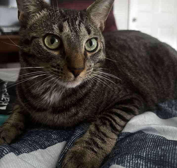 Photo of marcy